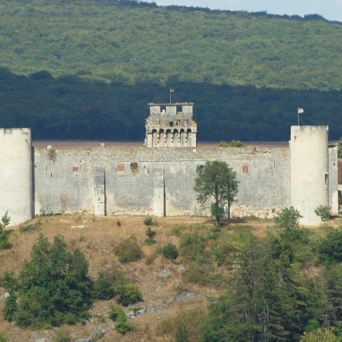 Photo de Château-fort de Druyes