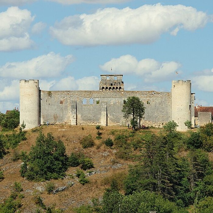 Photo de Château-fort de Druyes