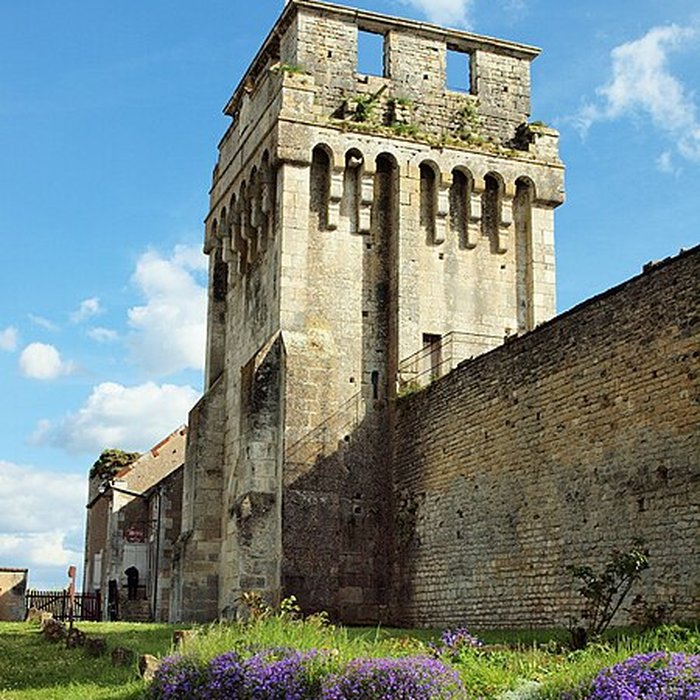 Photo de Château-fort de Druyes