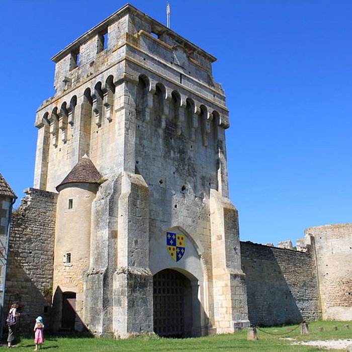 Photo de Château-fort de Druyes