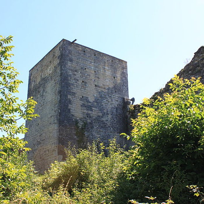 Photo de Château-fort de Druyes