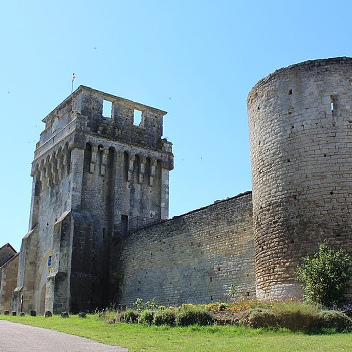 Photo de Château-fort de Druyes