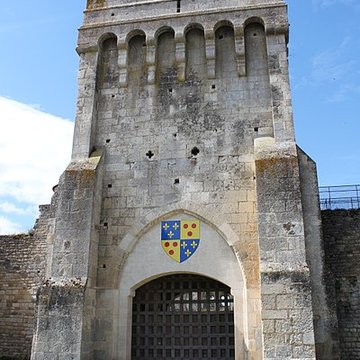 Château-fort de Druyes