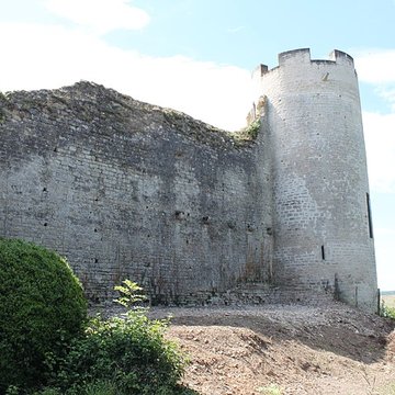 Château-fort de Druyes