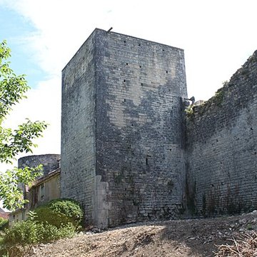 Château-fort de Druyes