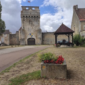 Château-fort de Druyes