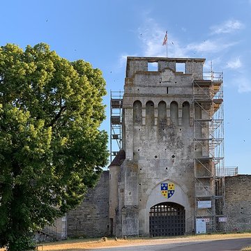 Château-fort de Druyes