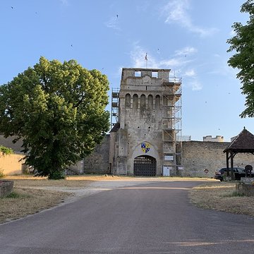 Château-fort de Druyes