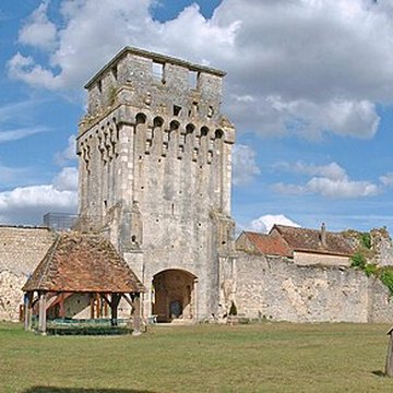 Château-fort de Druyes