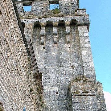 Château-fort de Druyes