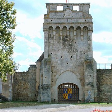 Château-fort de Druyes
