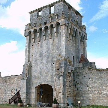 Château-fort de Druyes