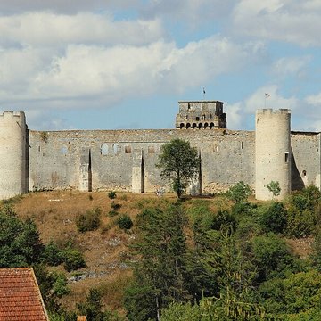 Château-fort de Druyes