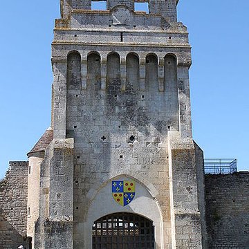 Château-fort de Druyes