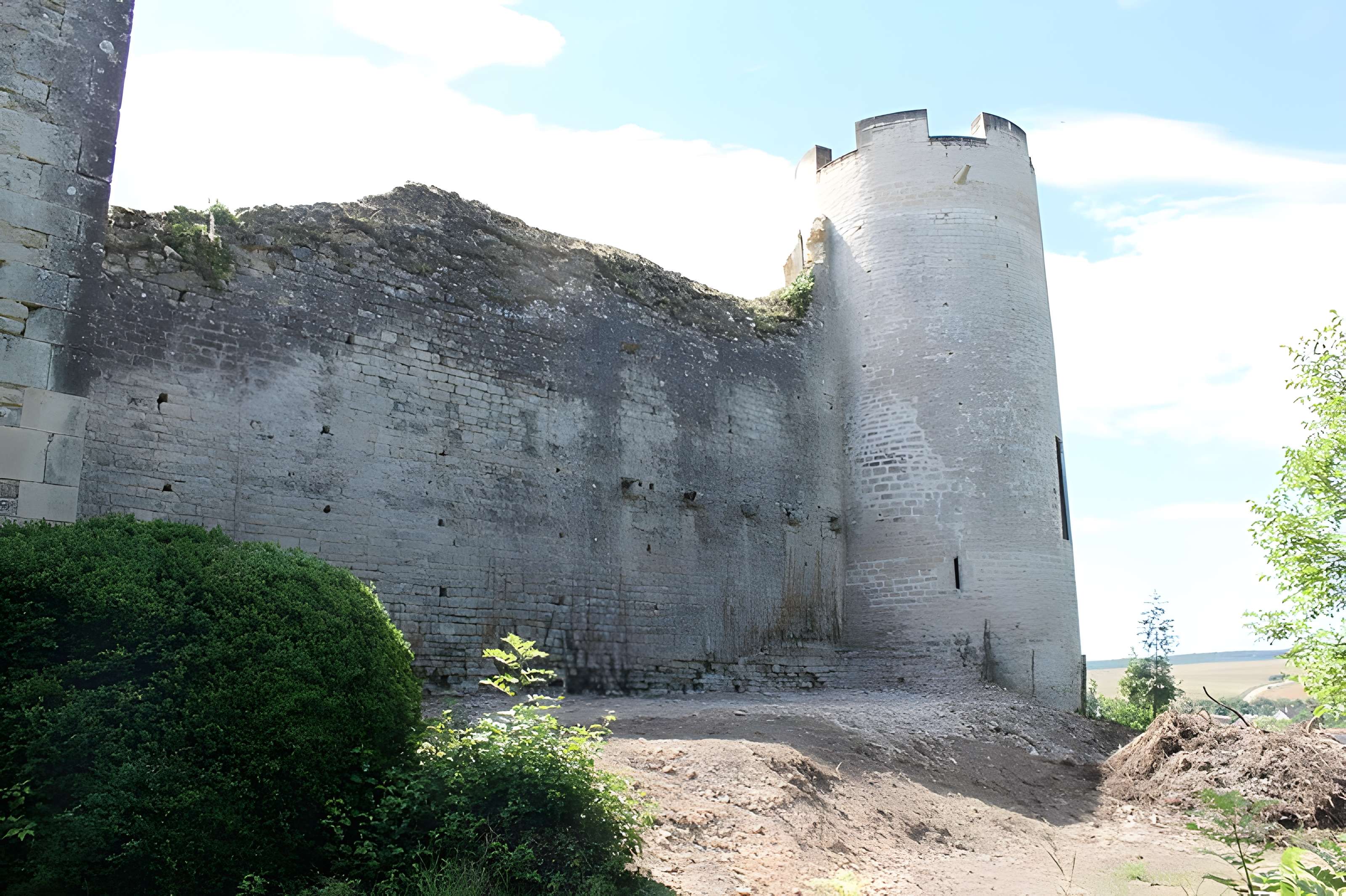 Château-fort de Druyes