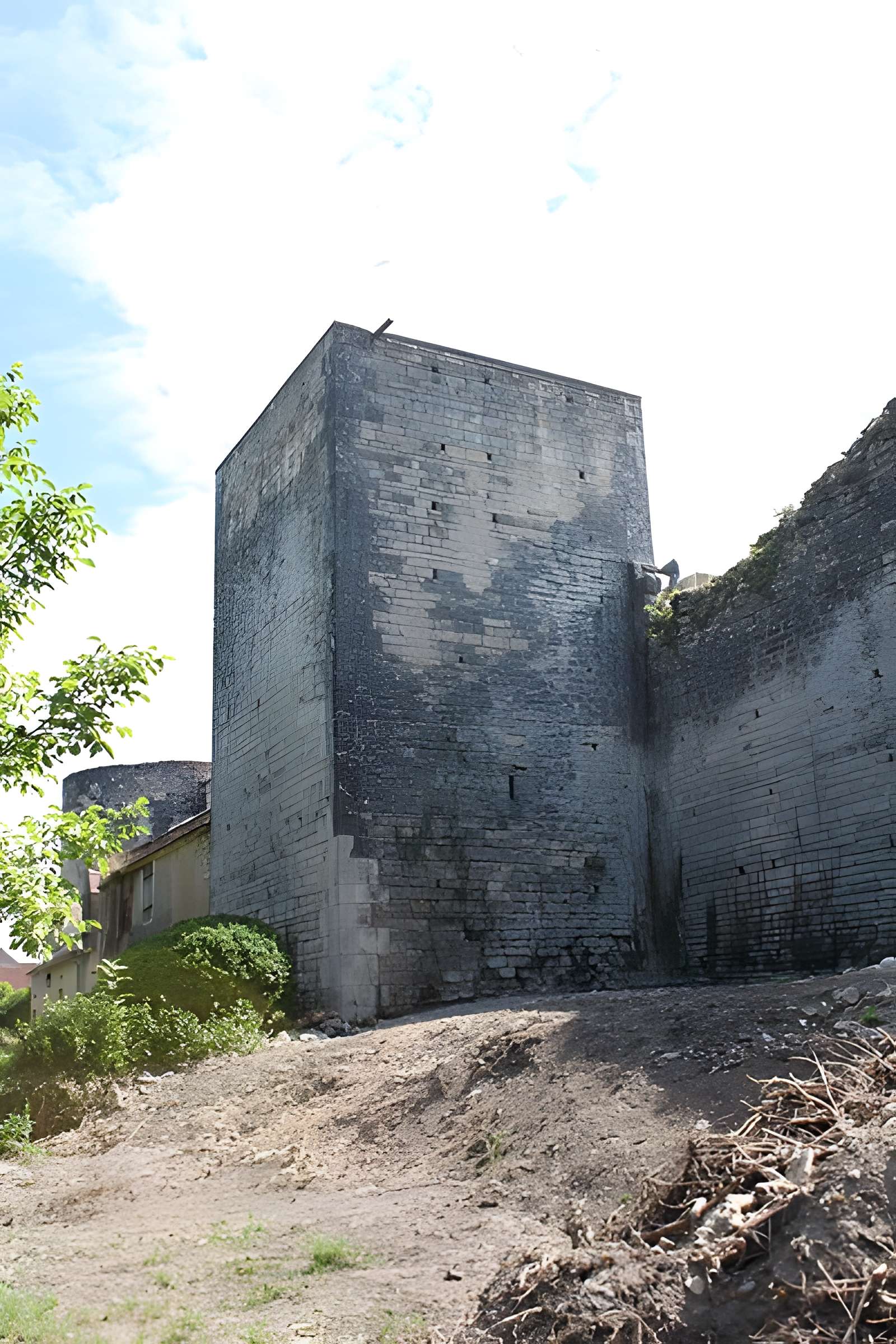 Château-fort de Druyes