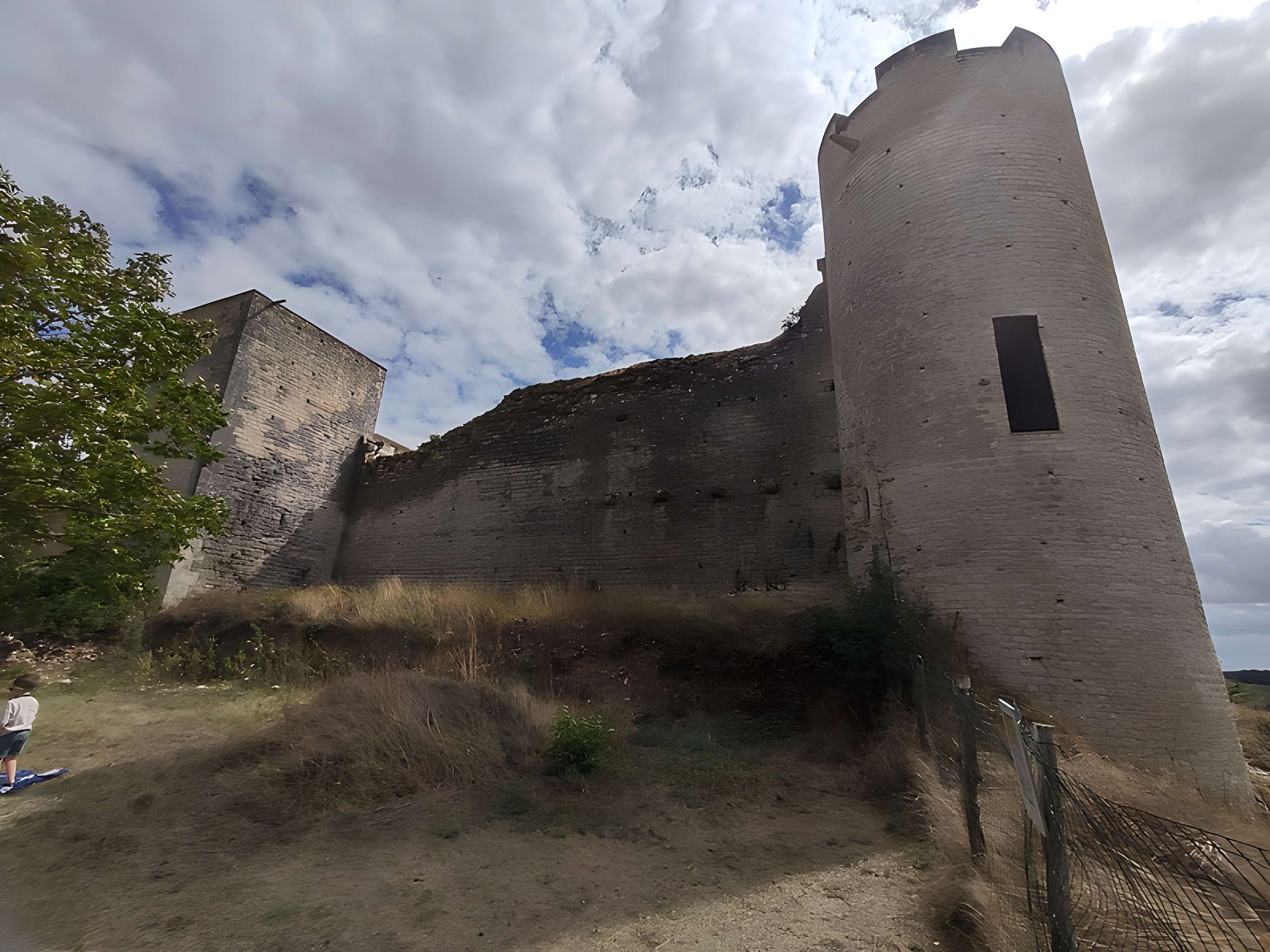Château-fort de Druyes