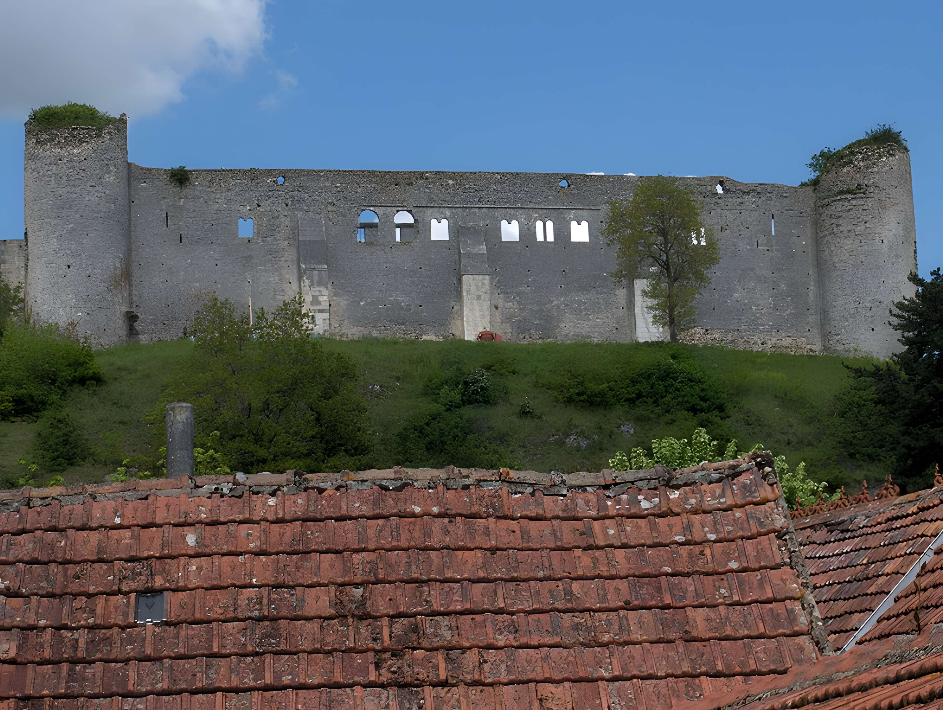 Château-fort de Druyes