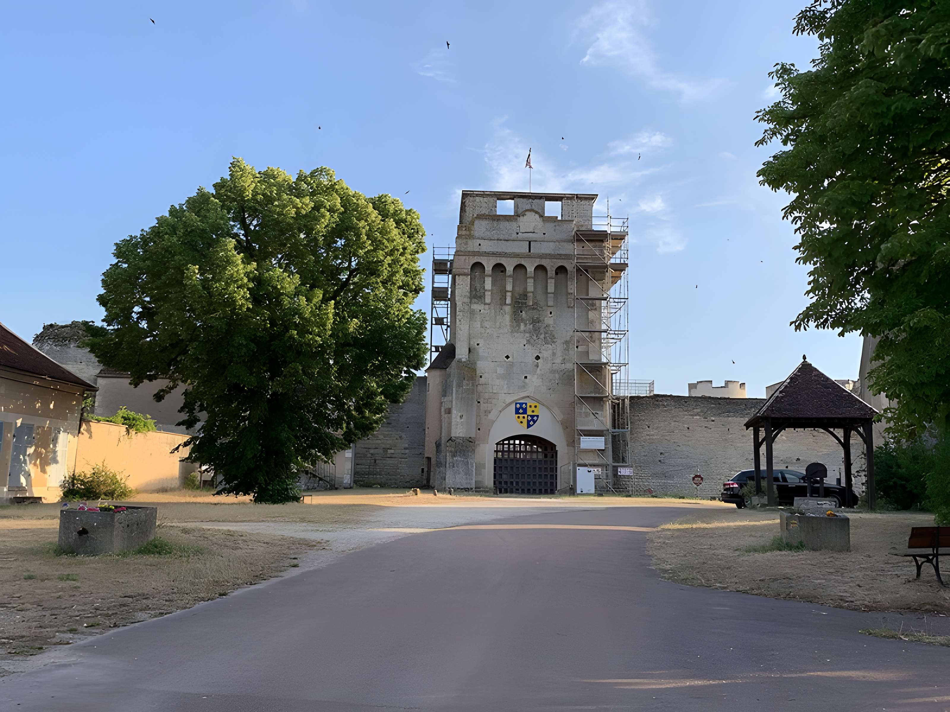 Château-fort de Druyes