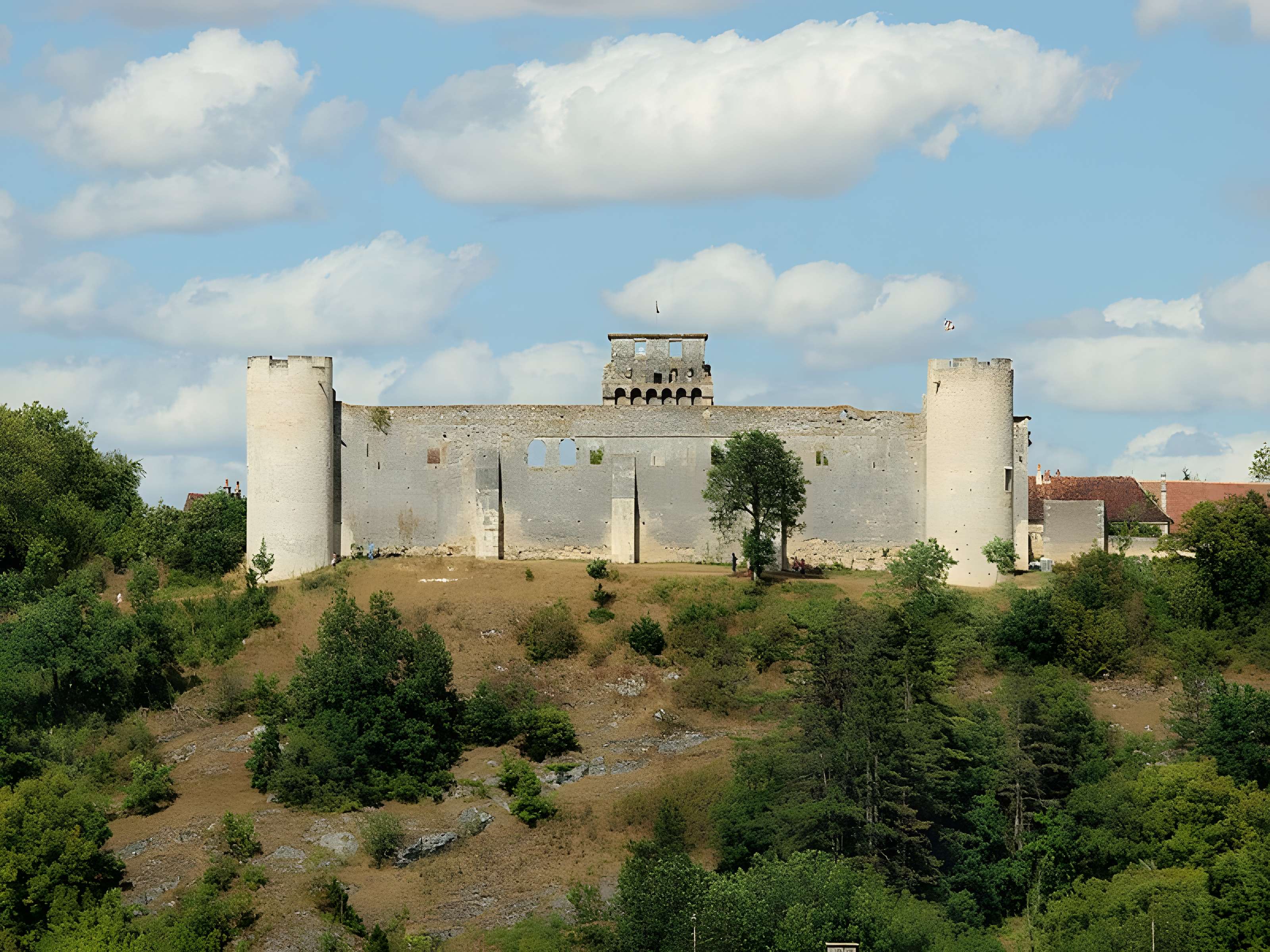 Château-fort de Druyes