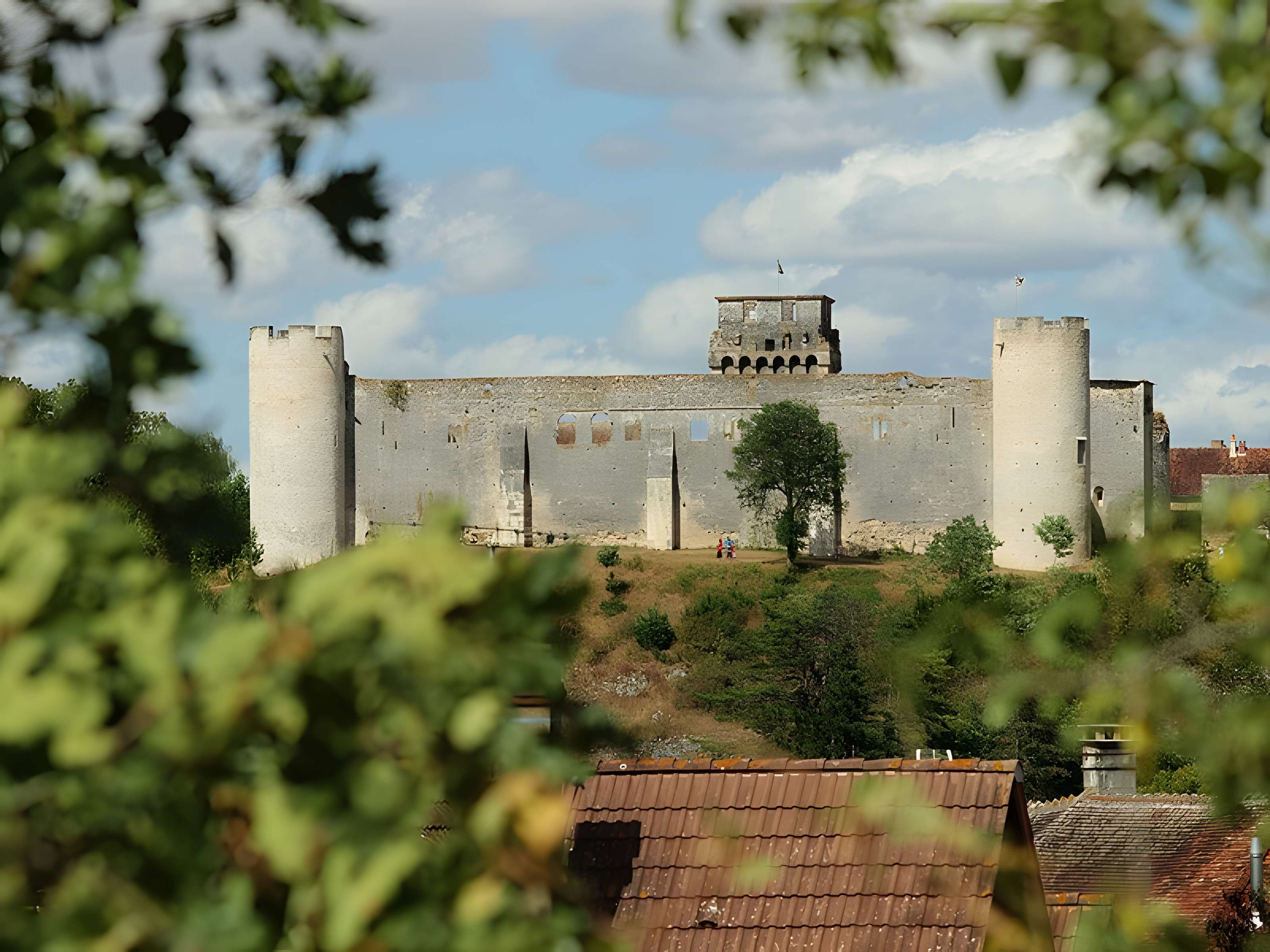 Château-fort de Druyes