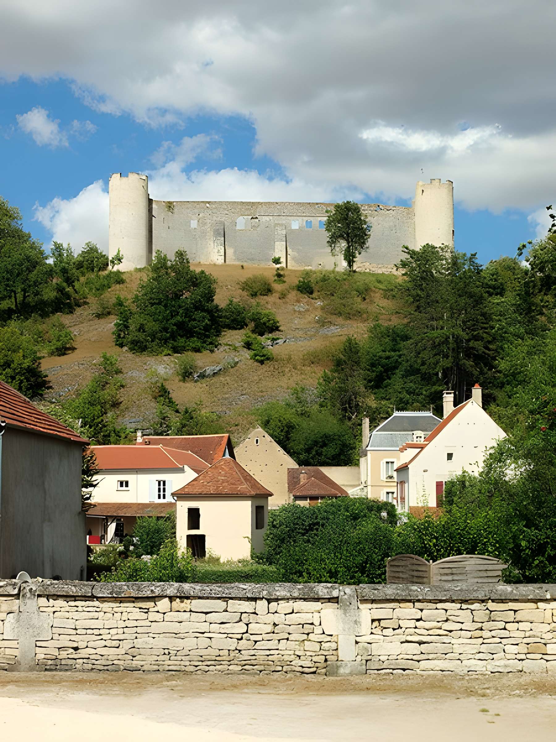 Château-fort de Druyes