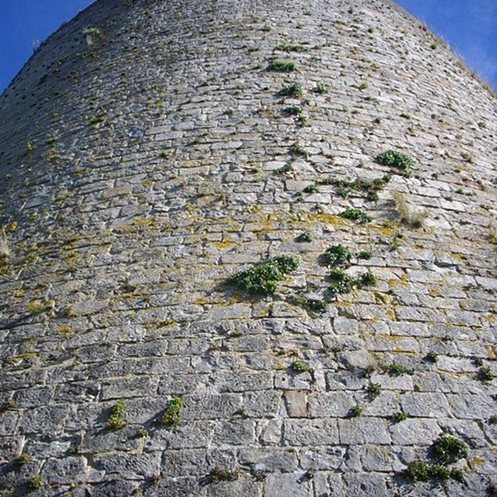 Photo de Château-fort de Guise