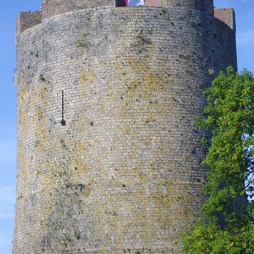 Château-fort de Guise
