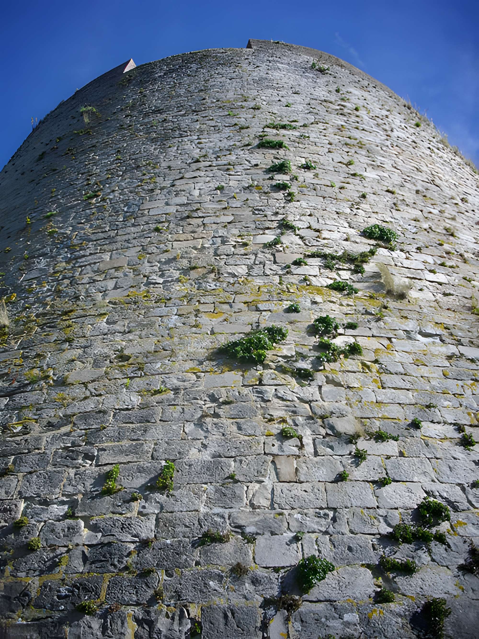 Château-fort de Guise