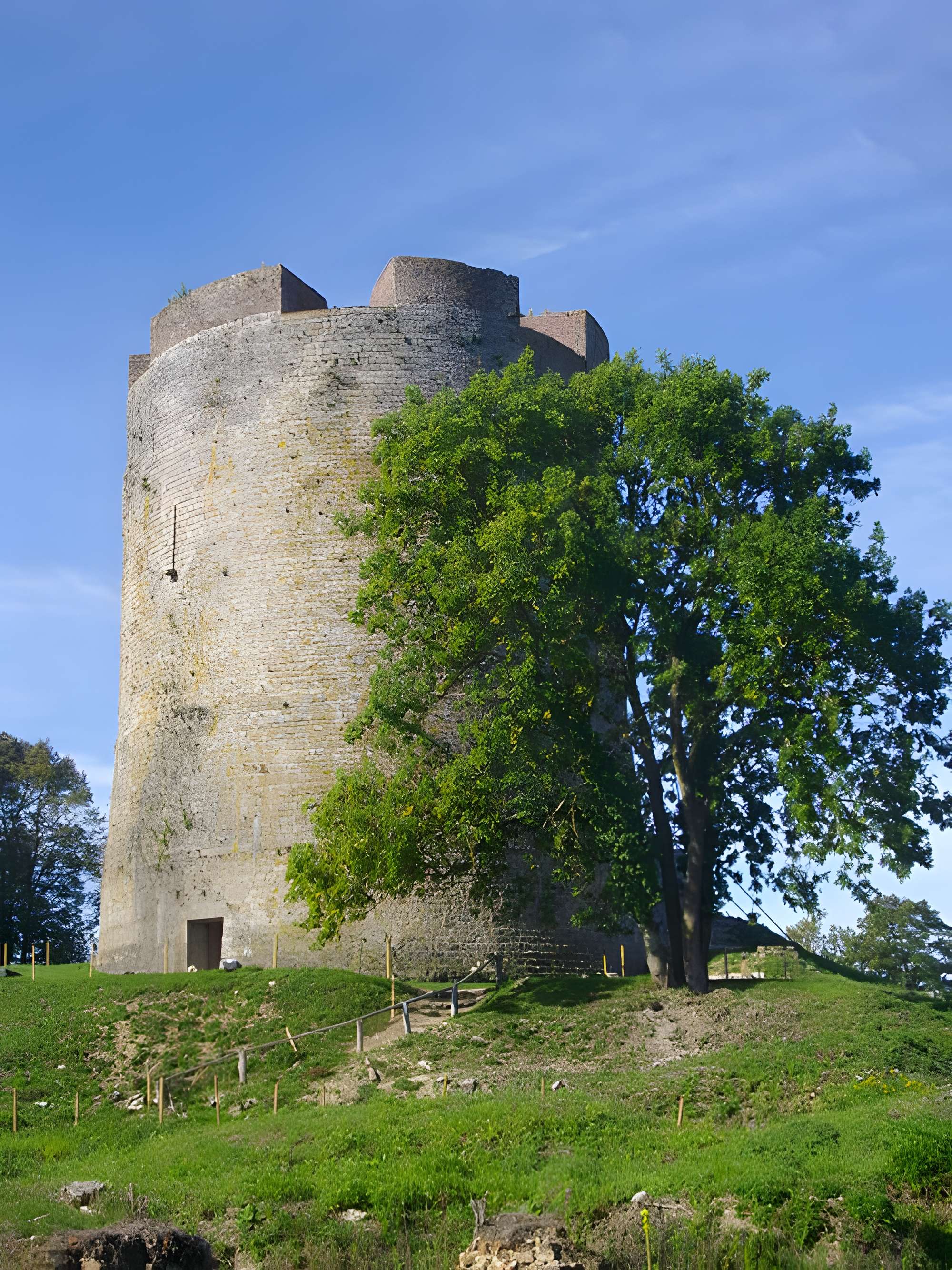 Château-fort de Guise