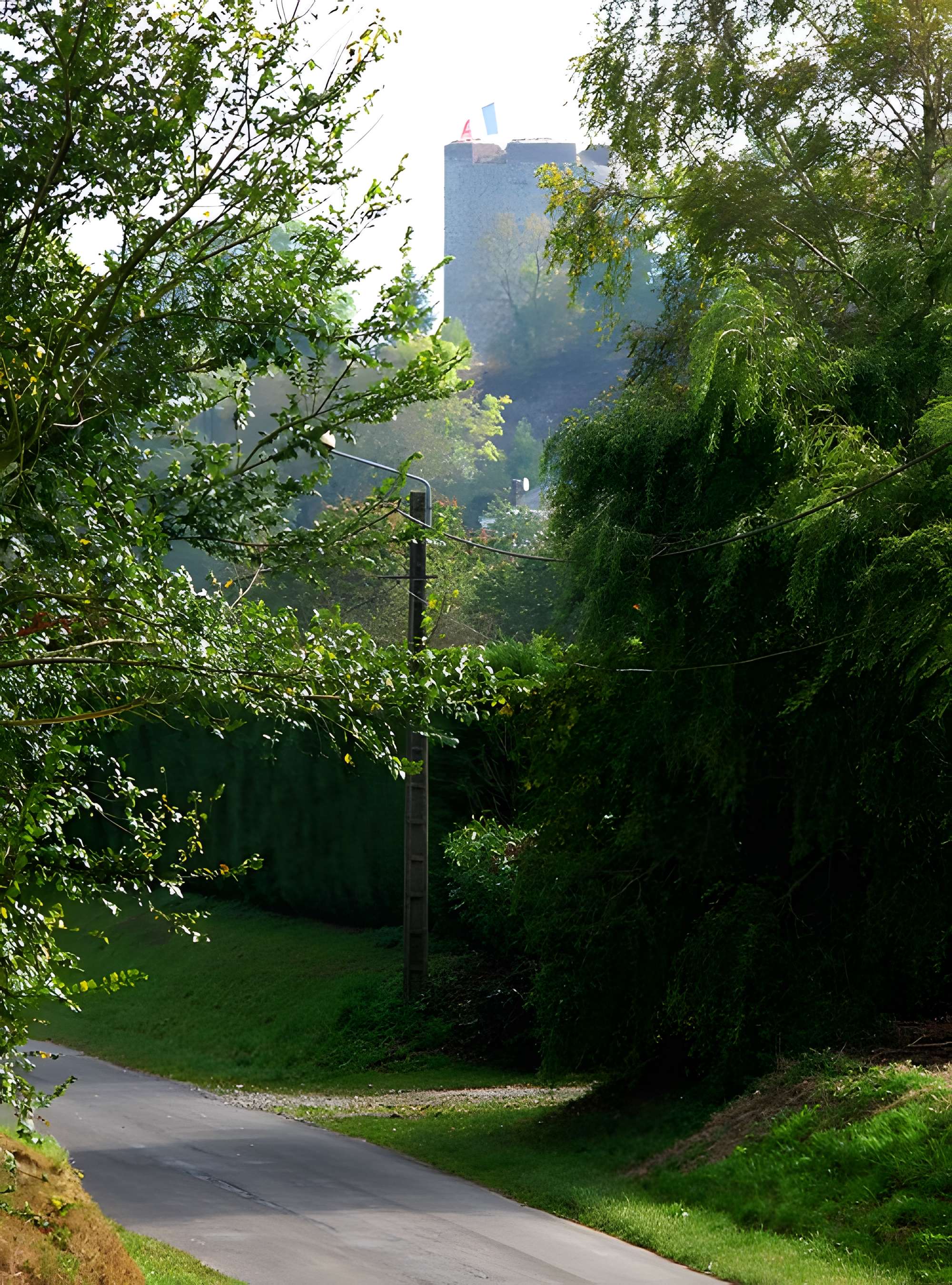 Château-fort de Guise