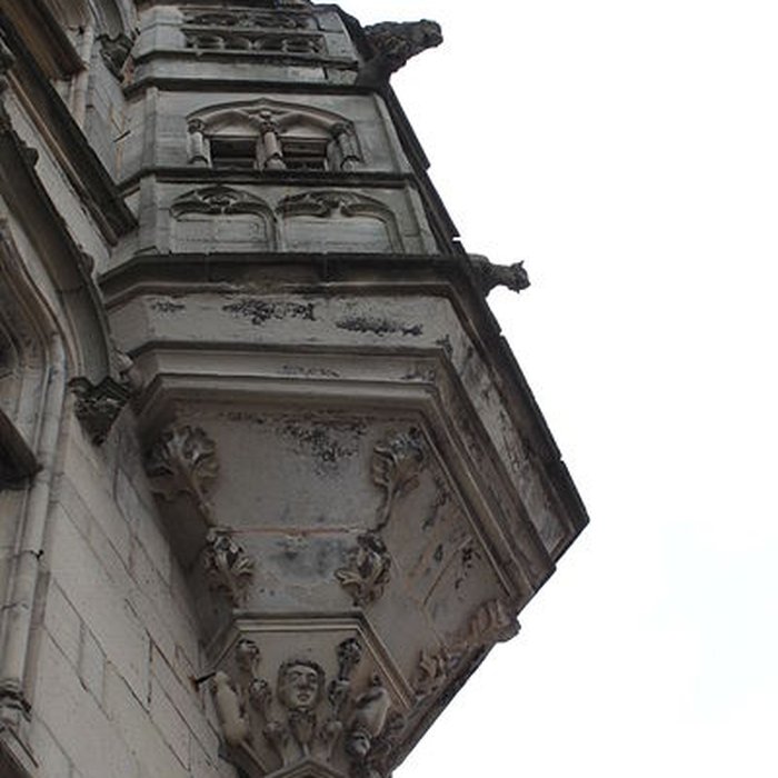 Photo de Hôtel de ville de Luxeuil-les-Bains