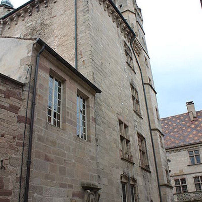 Photo de Hôtel de ville de Luxeuil-les-Bains