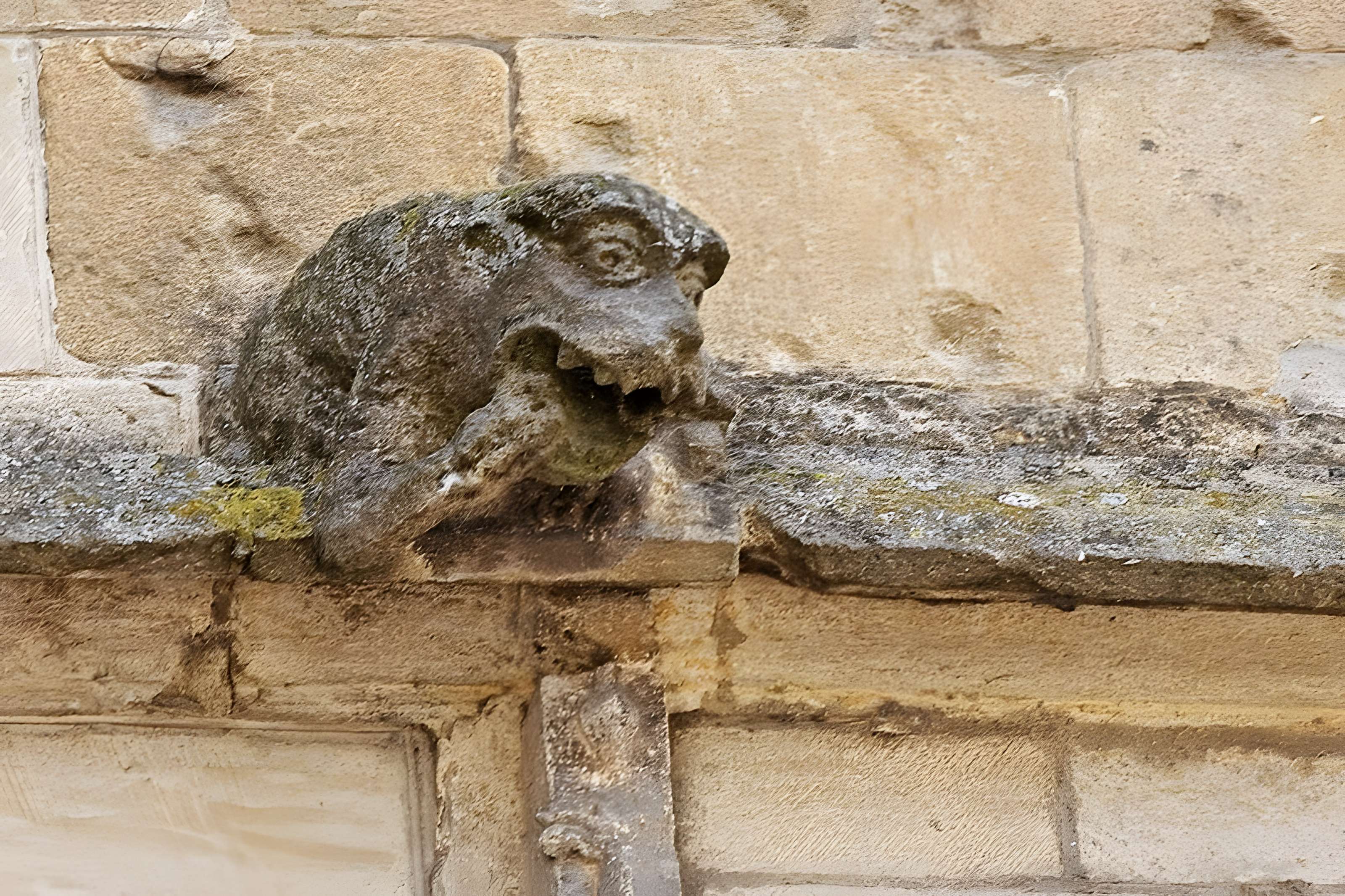 Hôtel de ville de Sarlat-la-Canéda