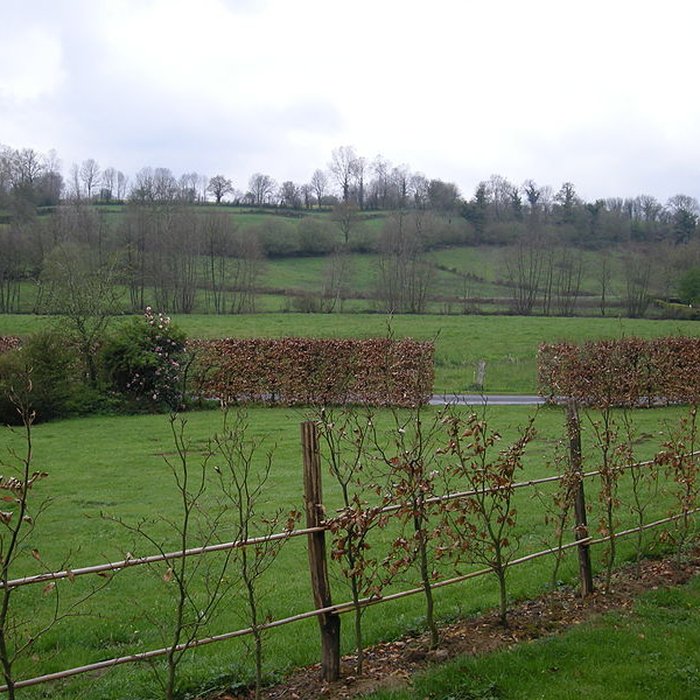 Photo de Abbaye de Hambye