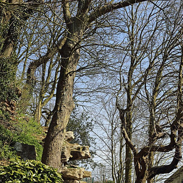 Photo de Moulin de lEtendard