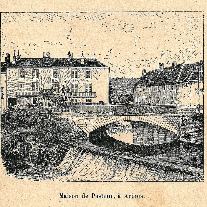 Photo de Maison de Louis Pasteur à Arbois
