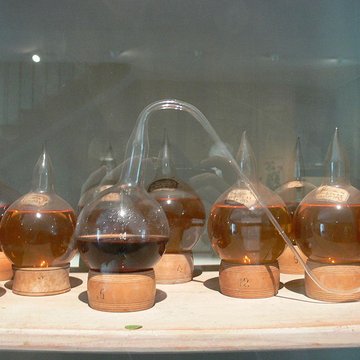 Maison de Louis Pasteur à Arbois