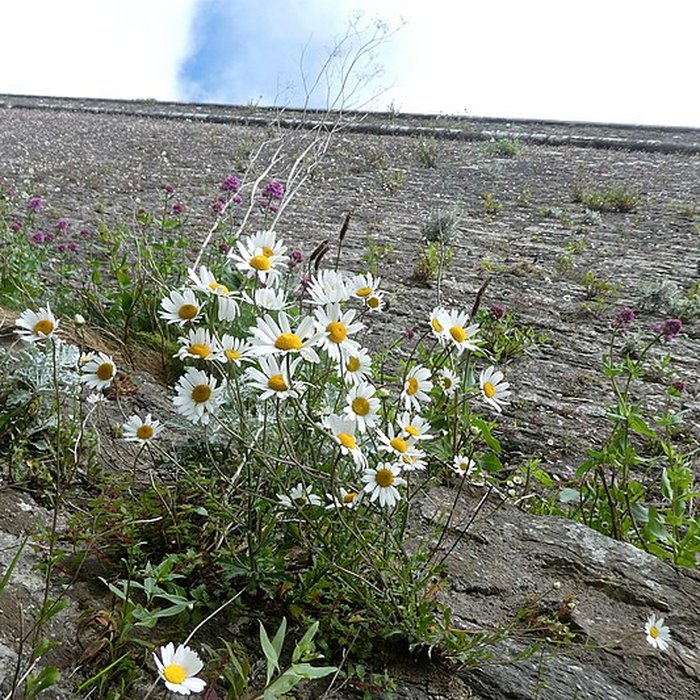 Photo de Citadelle du Palais, à Belle-Ile-en-Mer
