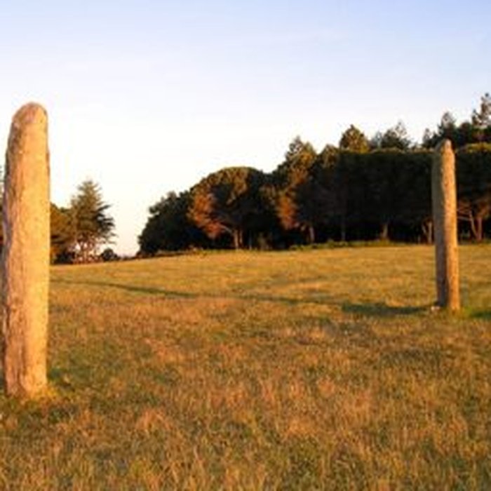 Photo de Menhirs de la Ferme Lambert à Collobrières