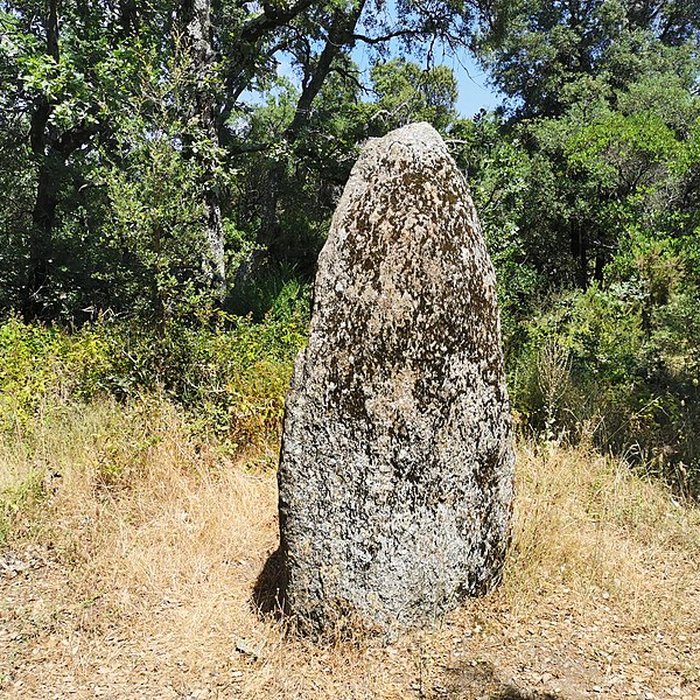 Photo de Menhirs de la Ferme Lambert à Collobrières