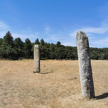 Menhirs de la Ferme Lambert à Collobrières