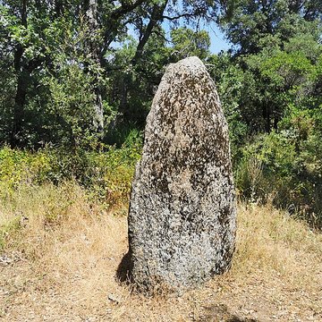 Menhirs de la Ferme Lambert à Collobrières