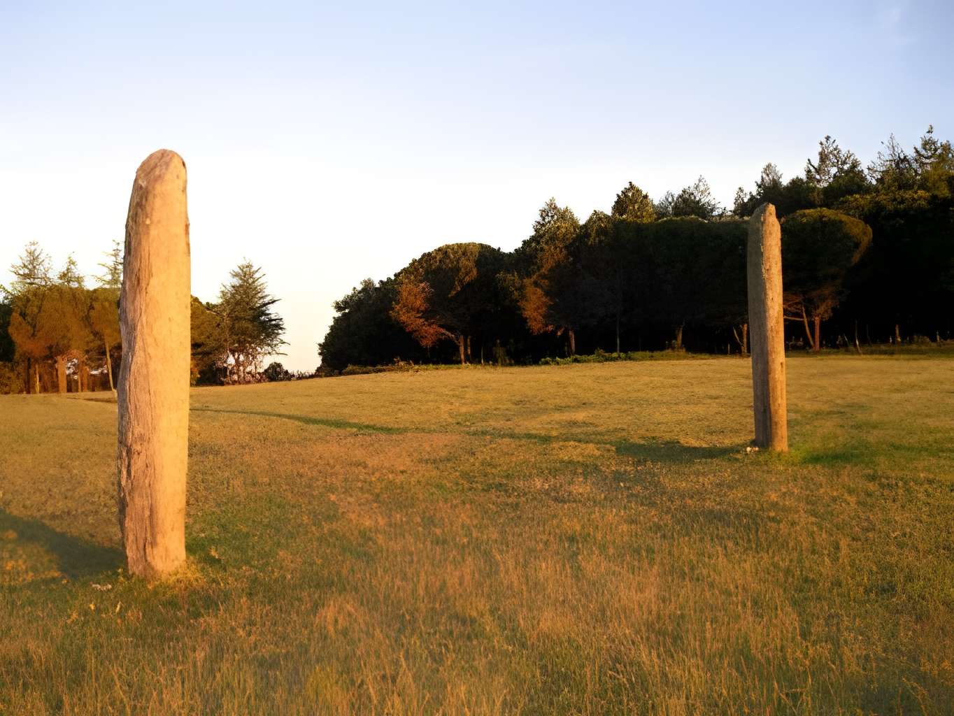 Menhirs de la Ferme Lambert à Collobrières