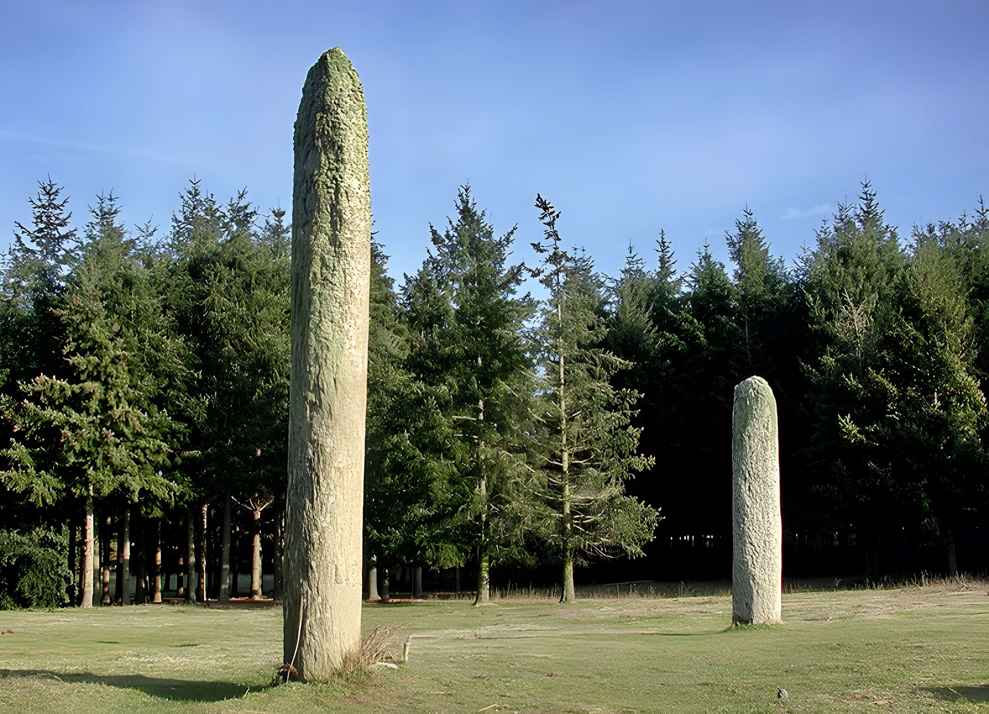 Menhirs de la Ferme Lambert à Collobrières 