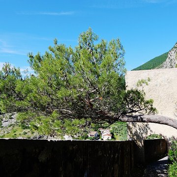 Citadelle dEntrevaux