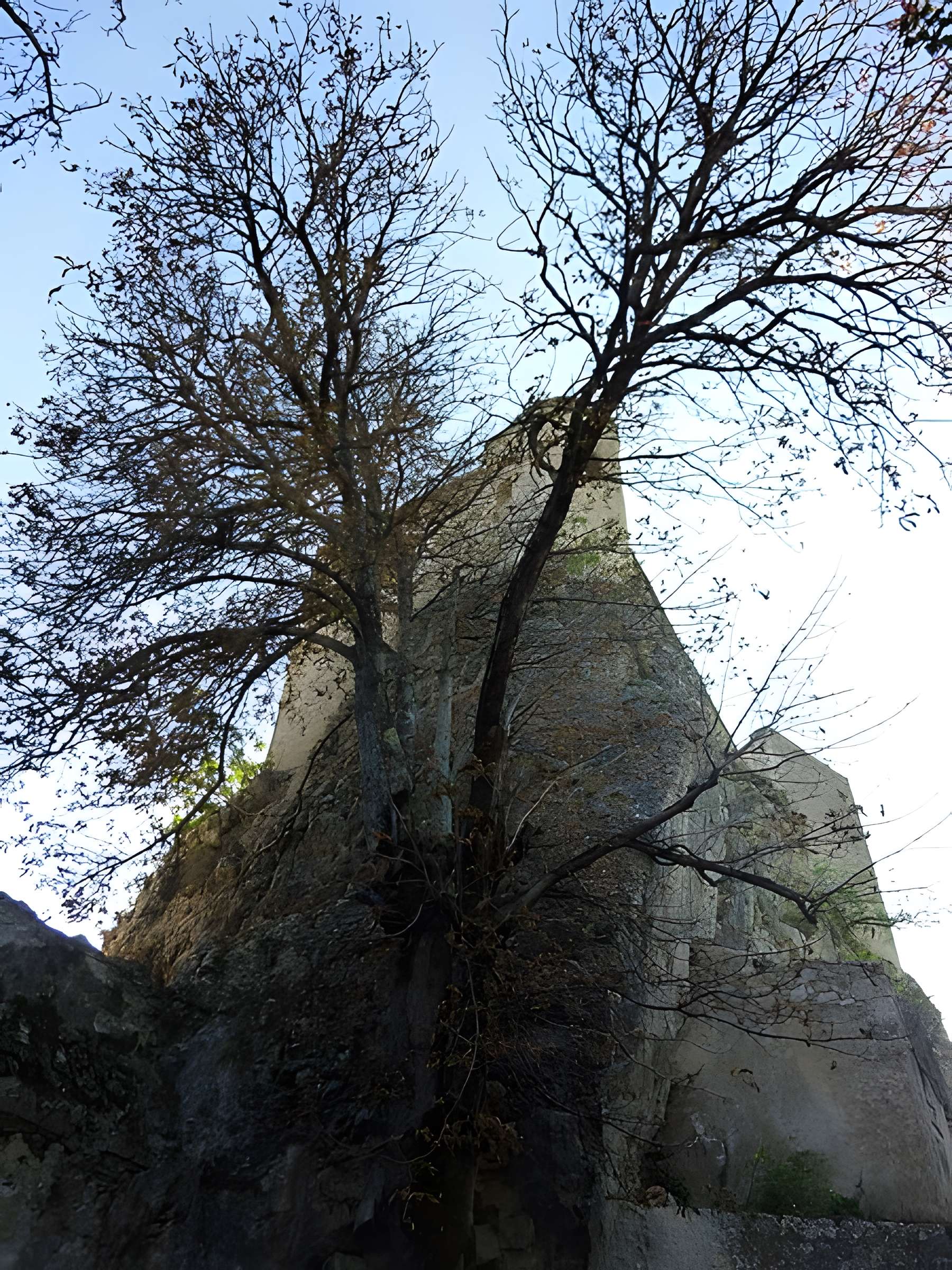 Citadelle d'Entrevaux