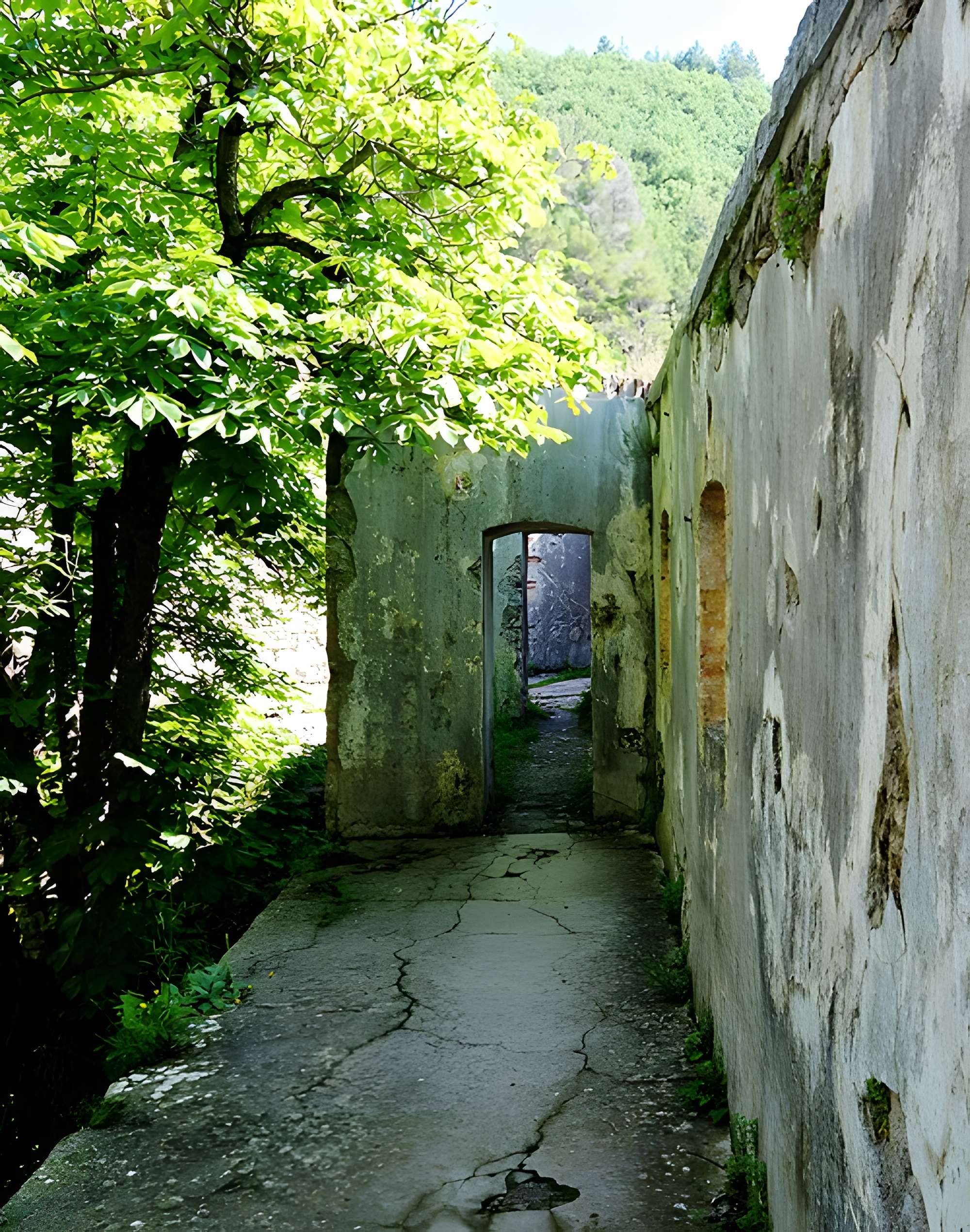 Citadelle d'Entrevaux