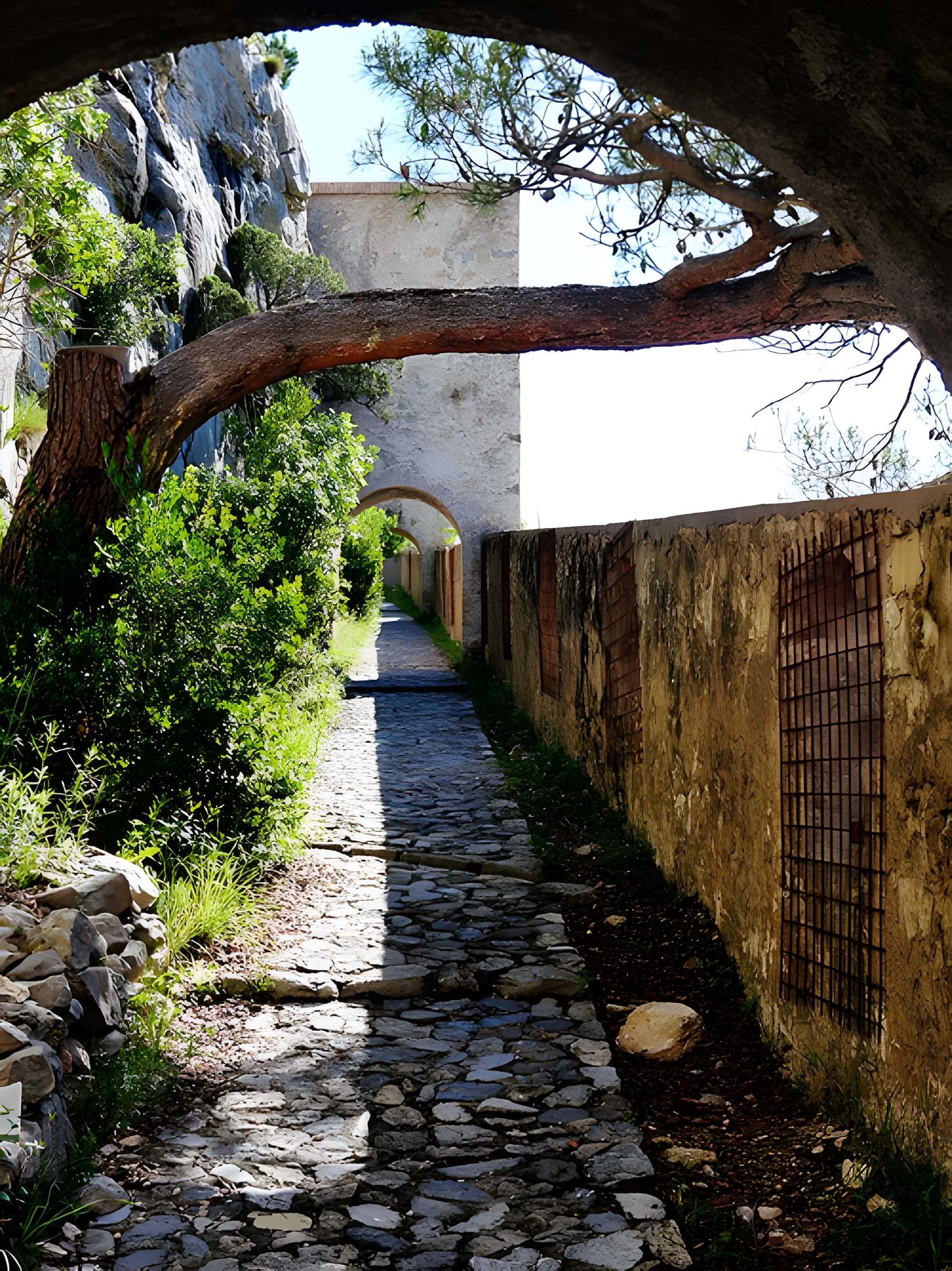 Citadelle d'Entrevaux