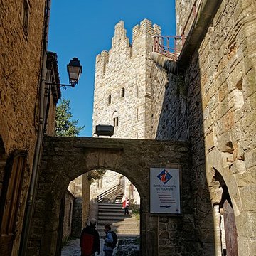Cité de Carcassonne